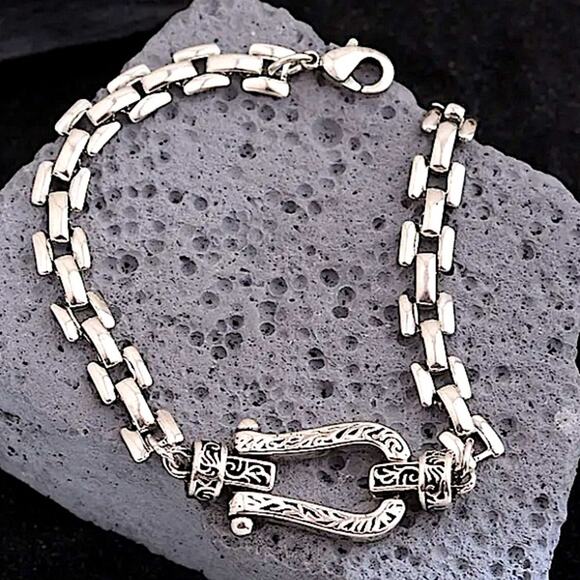 Sterling Silver Horseshoe Chain Link Bracelet - Picture 1 of 7